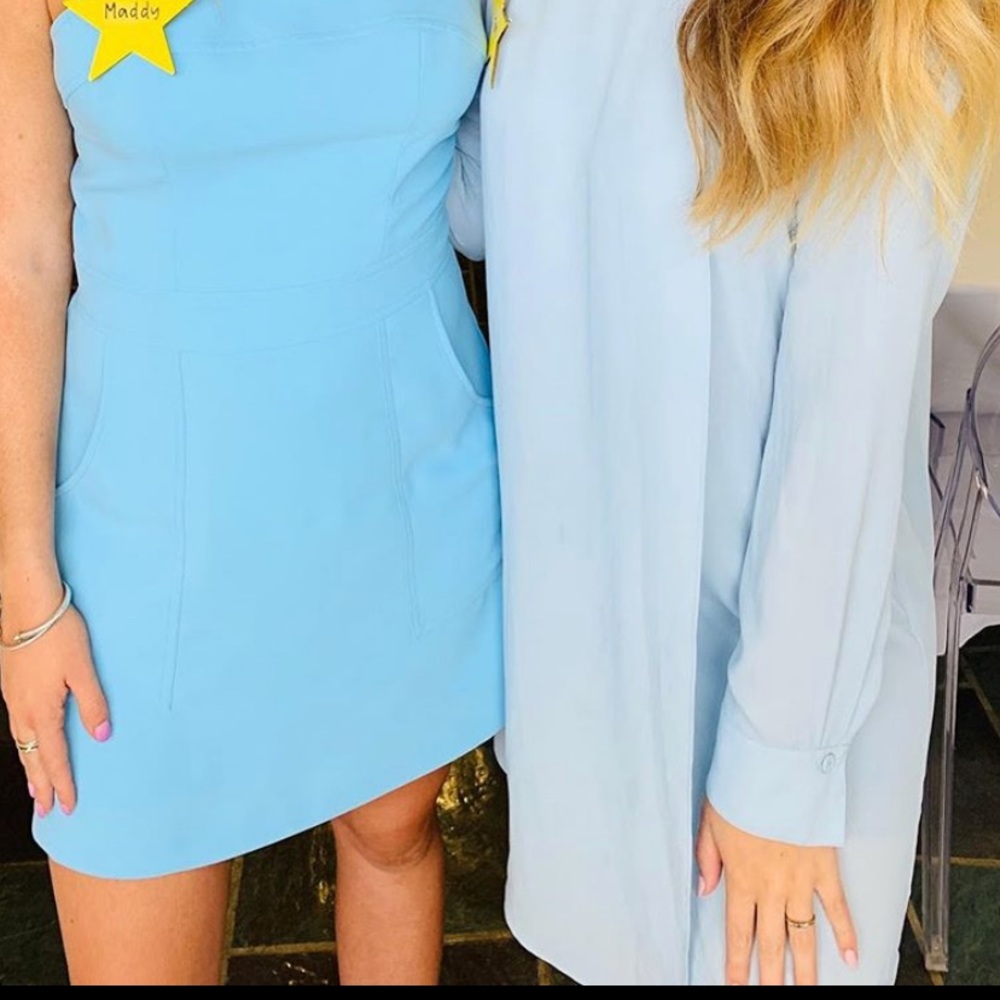 BCBG Max Toga Like Flowy Dress